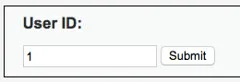 2015-01-31_web_sindan_sql_injection_22_42