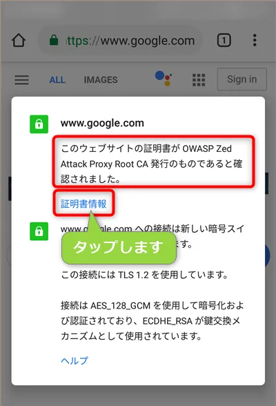 証明書の発行元を確認